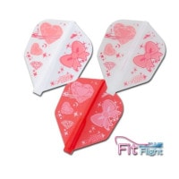 ������ �ե饤�� �ե��åȥե饤�� �����󡦥��� 2 Fit Flight  Tamrin Ng 2