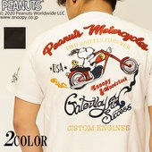 ���ָ������8690�ߤ�20%OFF������[SALE] FLAGSTAFF ���̡��ԡ� ����� T����� Ⱦµ �ɽ� ��� ����ꥫ�� �Х��� 402012 ��FLAGSTAFF���鿷��T����Ĥ��о�!!��/����̵��