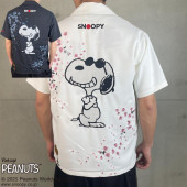  饯ޥ ̡ԡ      Ⱦµ 252055 ̵