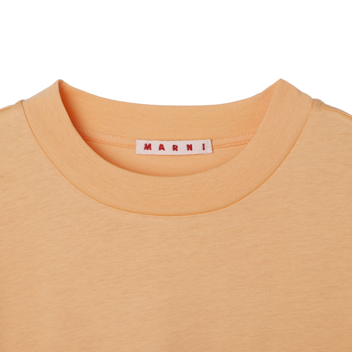 MARNI マルニ クルーネックTシャツ【大きいサイズあり】 レディース 