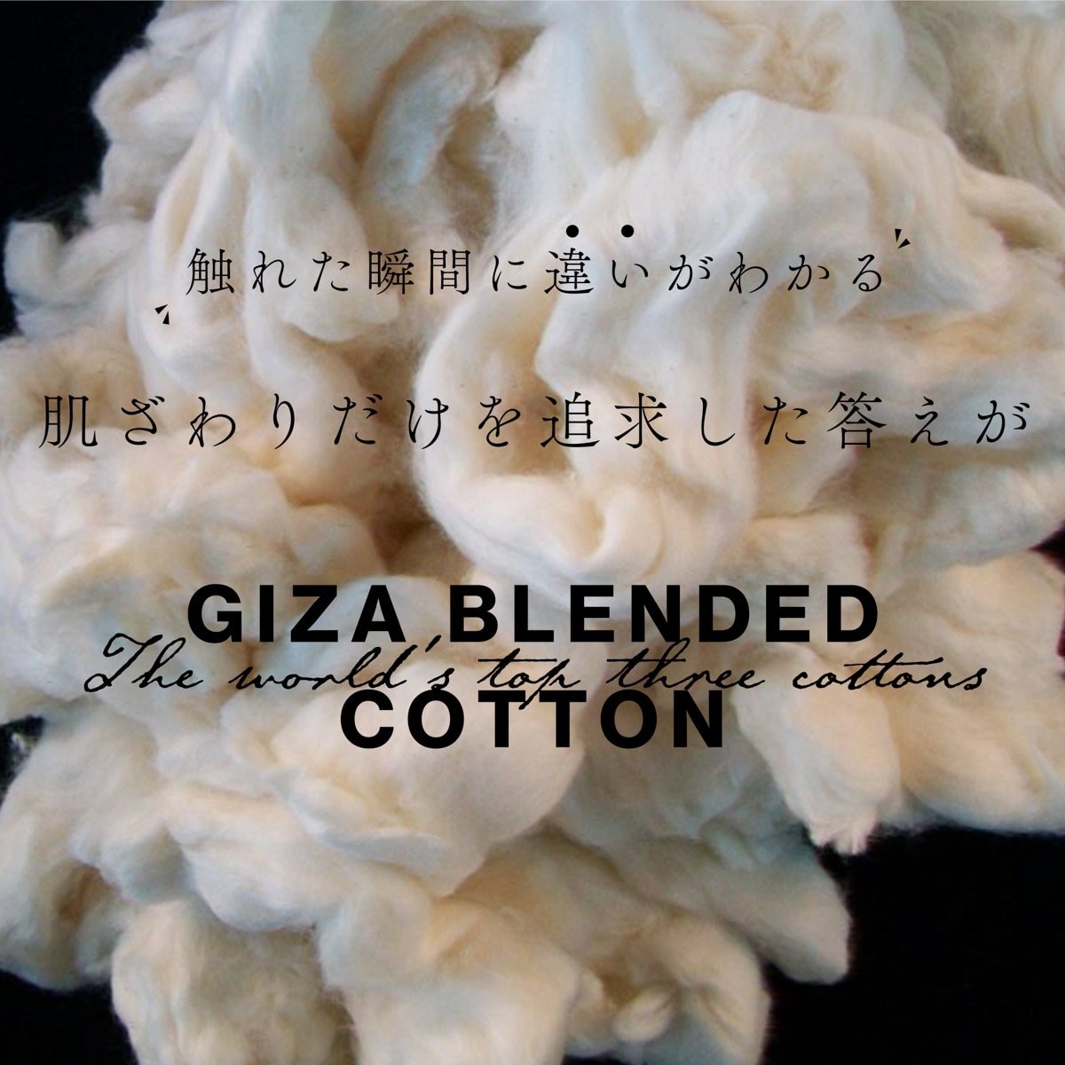 『ネコポス対応(1点まで)』MODERN B. モダンブルー クルーネックTシャツ