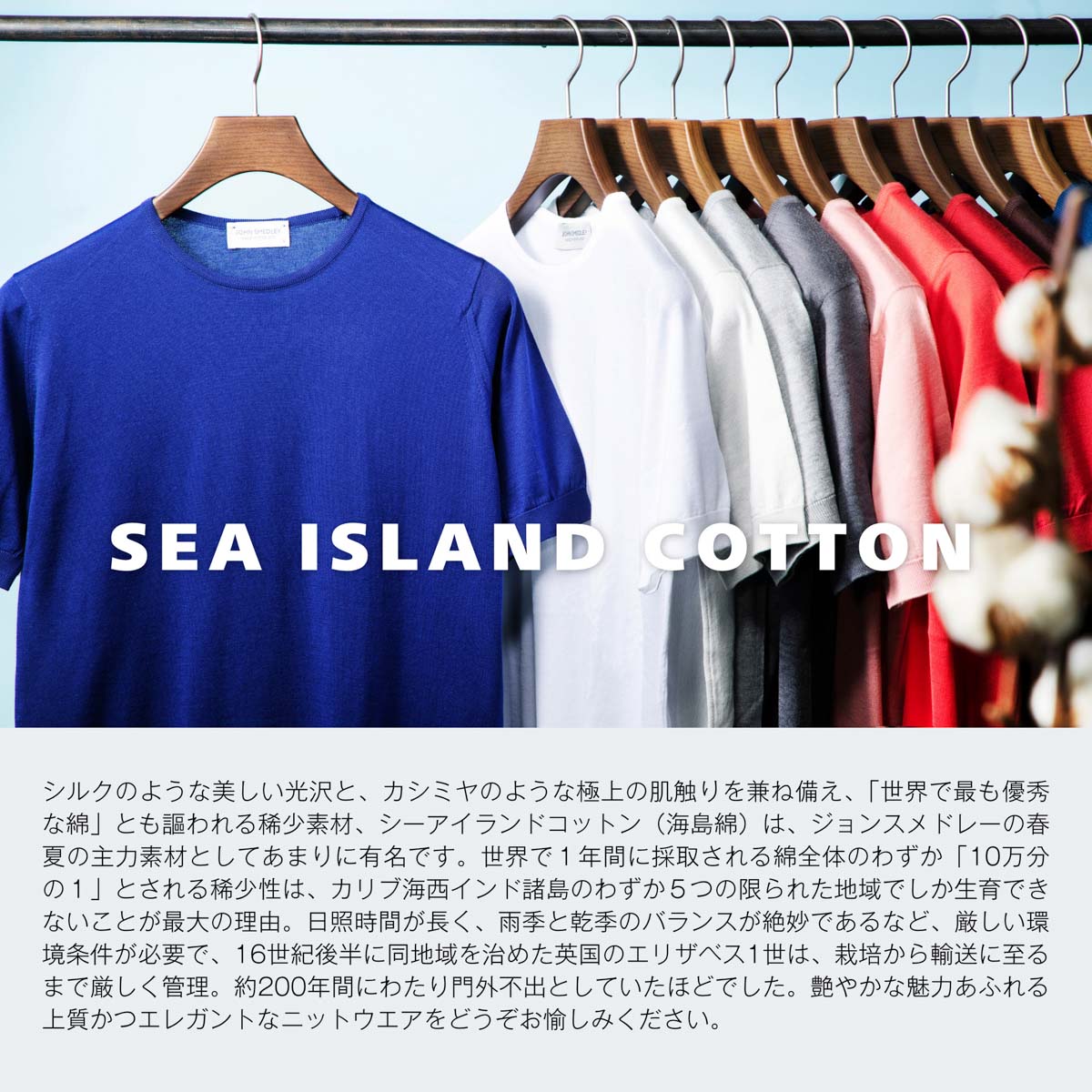 JOHN SMEDLEY ジョンスメドレー カーディガン/WHITCHURCH シー