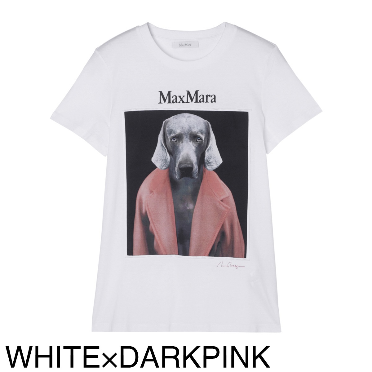 Max Mara マックスマーラ クルーネックTシャツ/CIPRIA