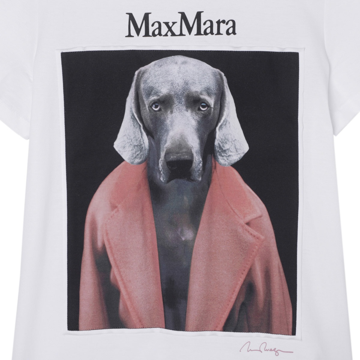 MAX MARA CIPRIA Sサイズ Max Mara マックスマーラ クルーネックTシャツ/CIPRIA
