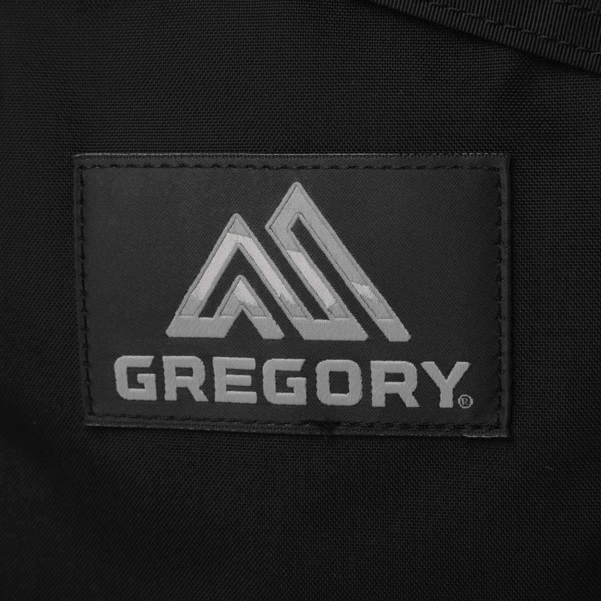 GREGORY グレゴリー バックパック/リュックサック/FINE DAY V2