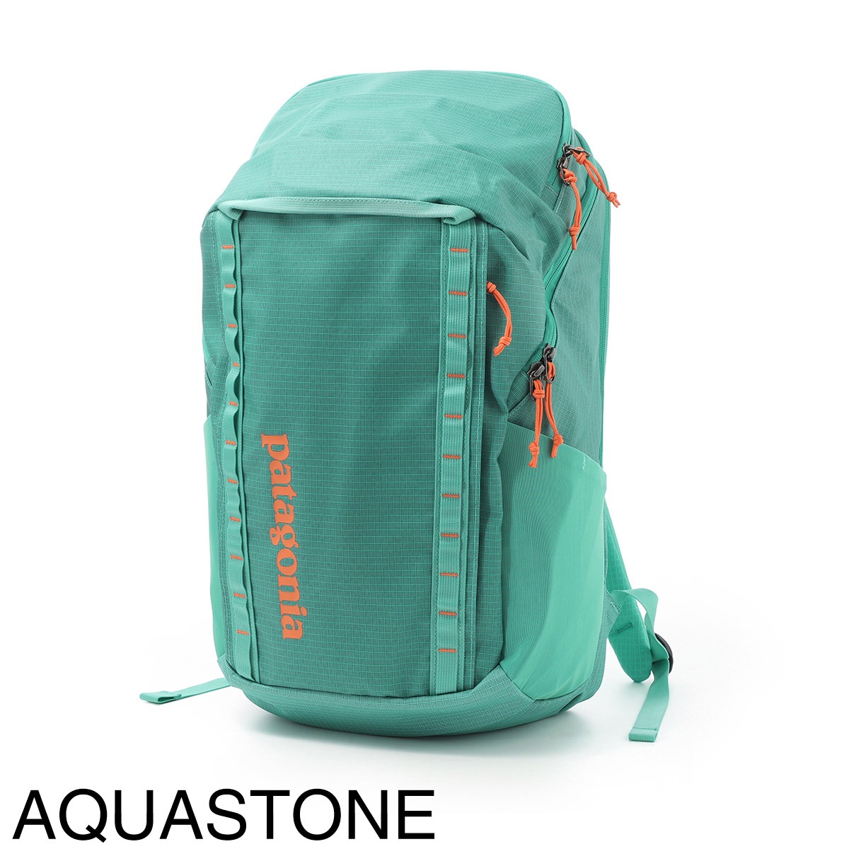 patagonia パタゴニア バックパック/リュックサック/BLACK HOLE PACK