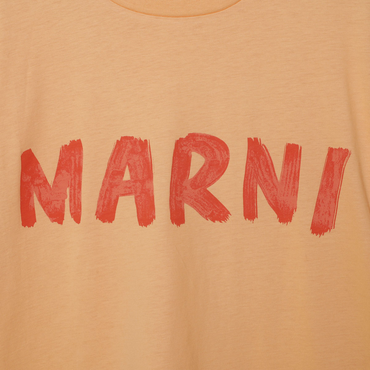 MARNI マルニ クルーネックTシャツ【大きいサイズあり】 レディース 