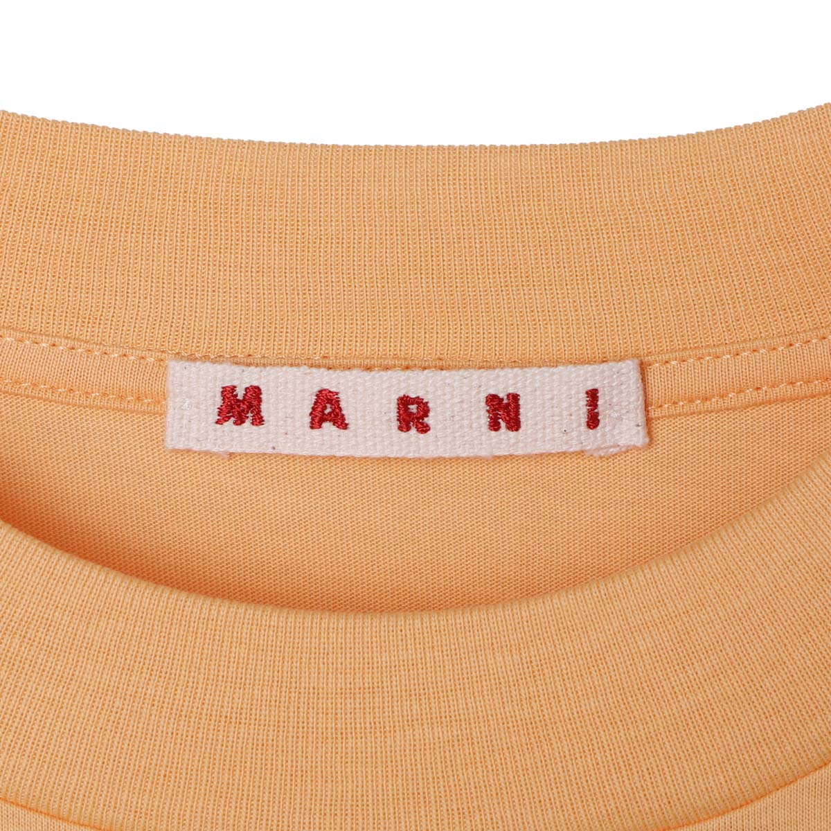 MARNI マルニ クルーネックTシャツ【大きいサイズあり】 レディース 