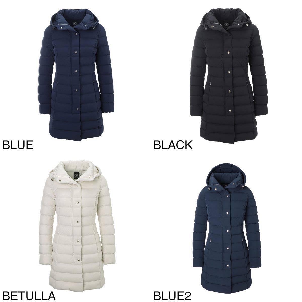 CAPE HORN ケープホーン ダウンコート/SANTACRUZ サンタクルス サンタ