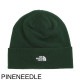 【ネコポス対応(2点まで)】THE NORTH FACE ノースフェイス ニットキャップ/ビーニー/NORM BEANIE