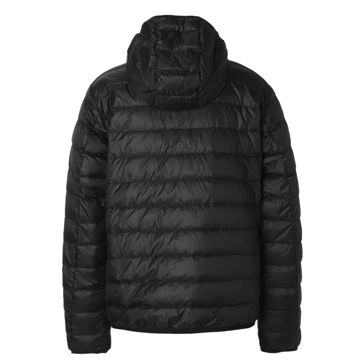 EA7 EMPORIO ARMANI エンポリオアルマーニ ダウンジャケット/CORE