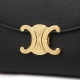 CELINE セリーヌ ハンドバッグ 2WAY/ショルダーバッグ/TEEN NINO レディース