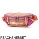 patagonia パタゴニア ボディバッグ/ウエストバッグ/BLACK HOLE WAIST PACK 5L ブラックホール・ウエスト・パック 5L メンズ