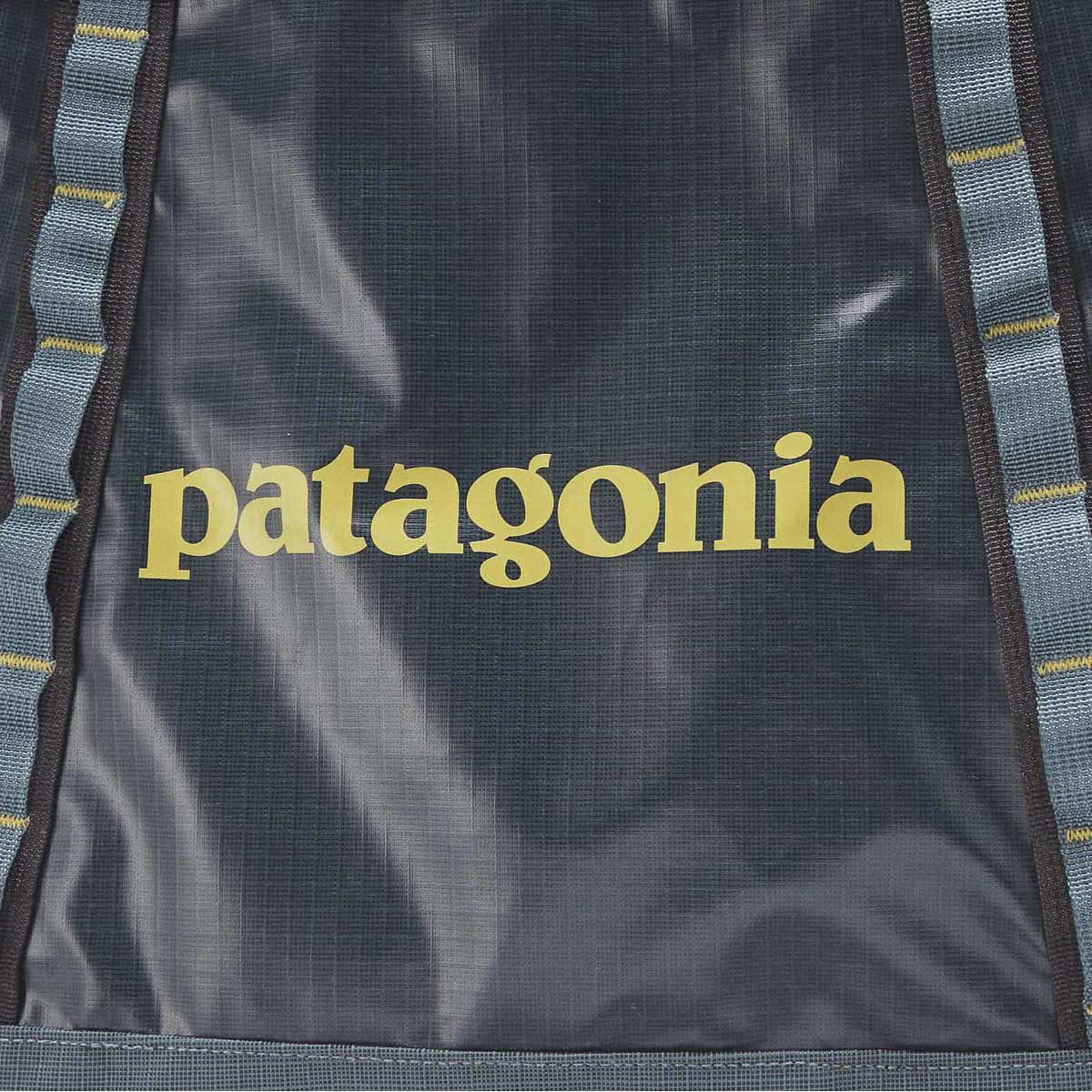 patagonia パタゴニア トートバッグ/BLACK HOLE TOTE PACK 25L メンズ