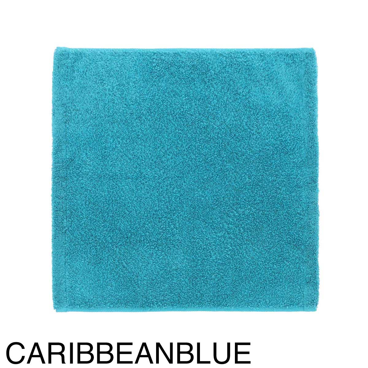 『ネコポス対応(2点まで)』HIPPOPOTAMUS ヒポポタマス ハンドタオル/ウォッシュタオル/オーガニックコットン&バンブー 34cm×35cm 赤ちゃん 子供 今治産 日本製 結婚 出産 内祝い 【正規取扱店】