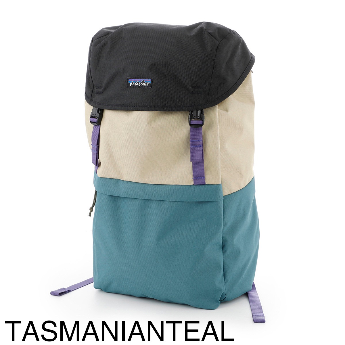 patagonia パタゴニア バックパック/リュックサック/FIELDSMITH LID