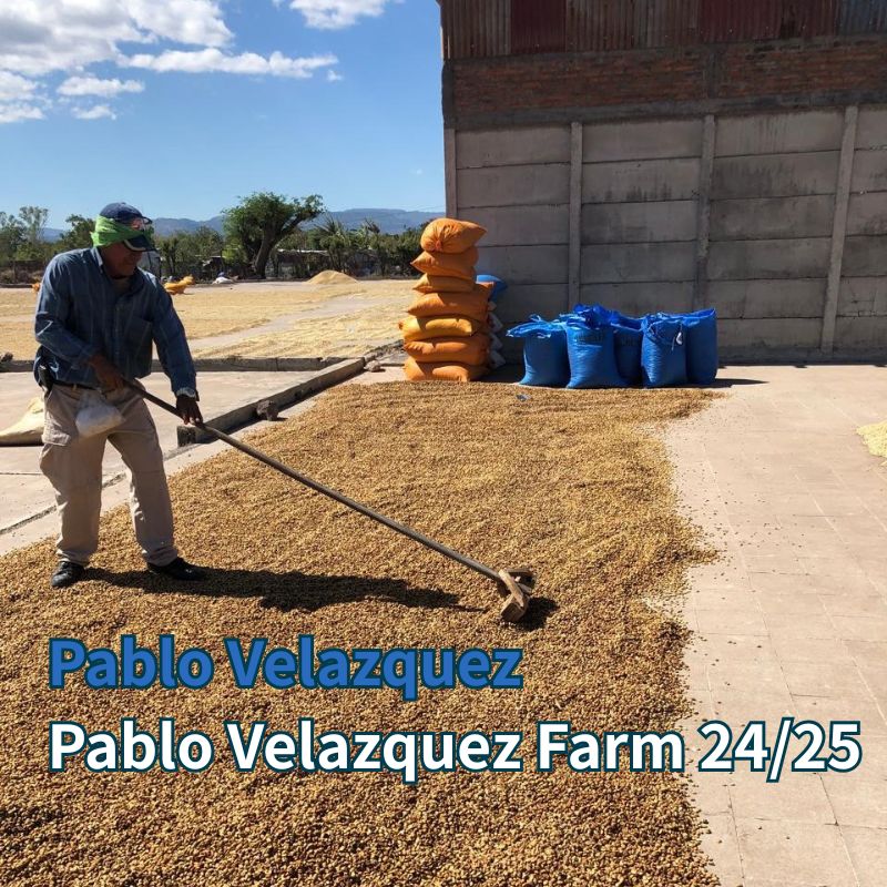 ニカラグア・パブロベラスケス農園 24/25