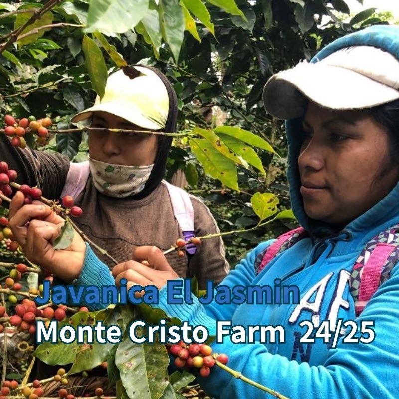 NICARAGUA COFFEE M＆C Co.,Ltd |