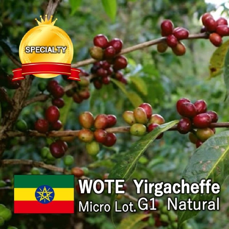 エチオピア  WOTE Yirgacheffe MicroLot.G1　　 Natural(24/25)