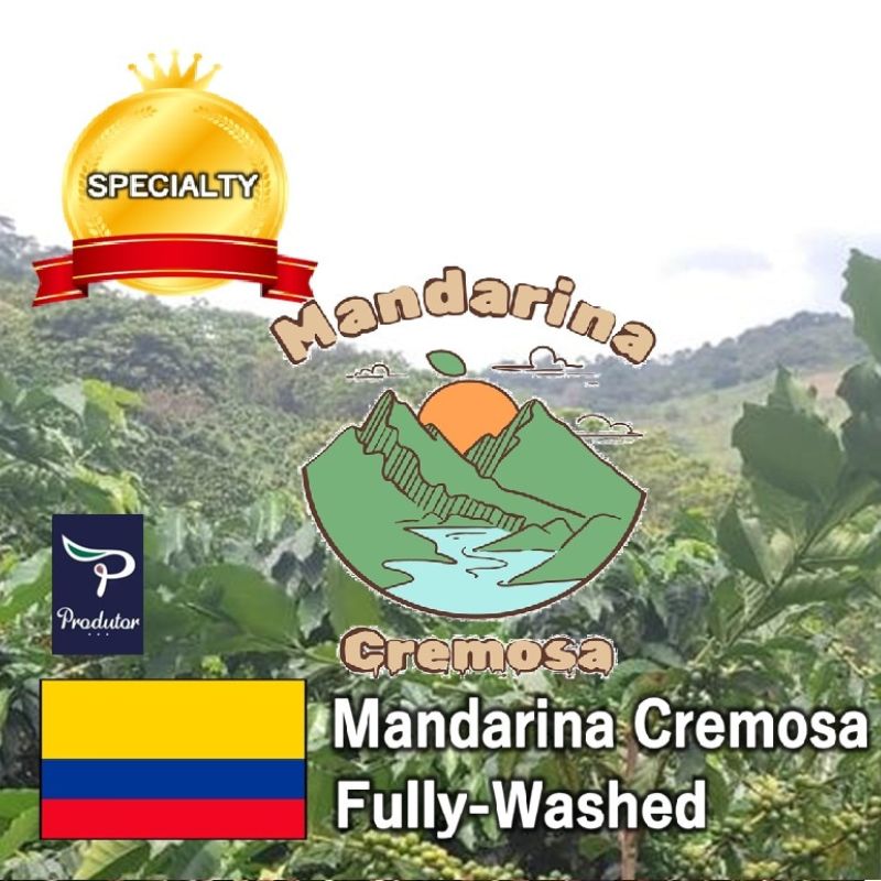 コロンビアMandarina Cremosa(ﾏﾝﾀﾞﾘｰﾅ･ｸﾚﾓｯｻ) Fully-Washed(24/25)