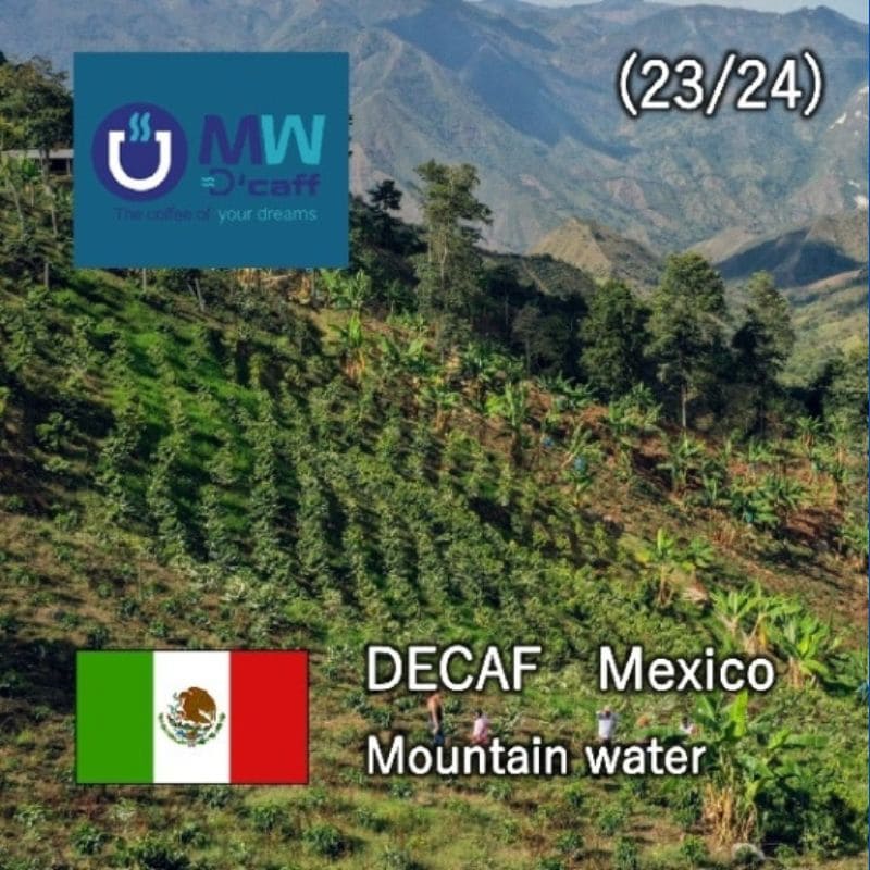 デカフェ  MEXICO Chiapas(ﾁｱﾊﾟｽ)ﾏｳﾝﾃﾝｳｫｰﾀｰ(23/24)