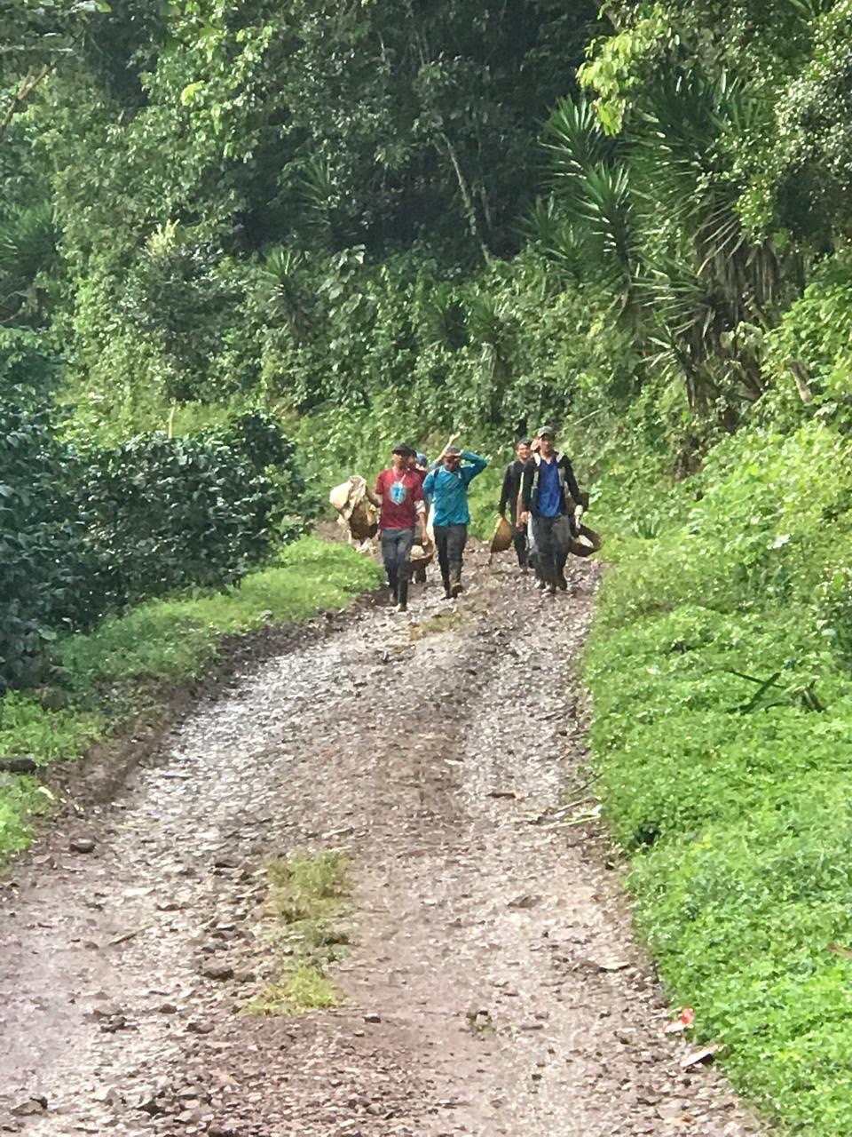 ニカラグア・パブロベラスケス農園 24/25