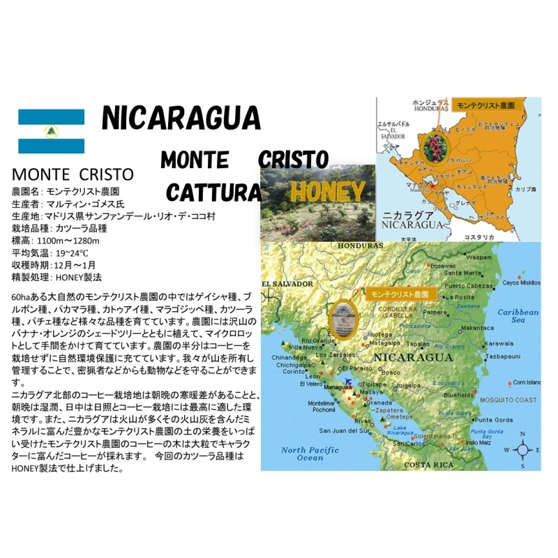 ニカラグア・モンテクリスト農園Honey 24/25