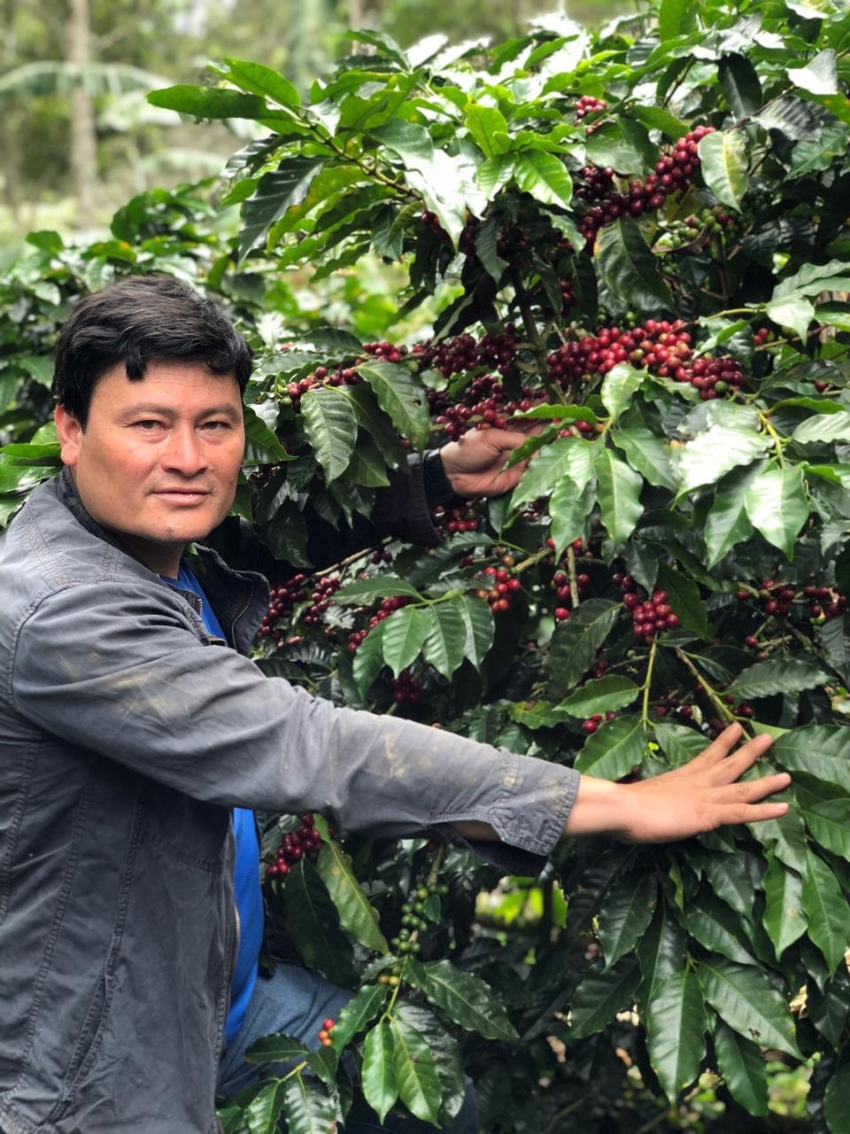 ニカラグア・モンテクリスト農園Honey 24/25