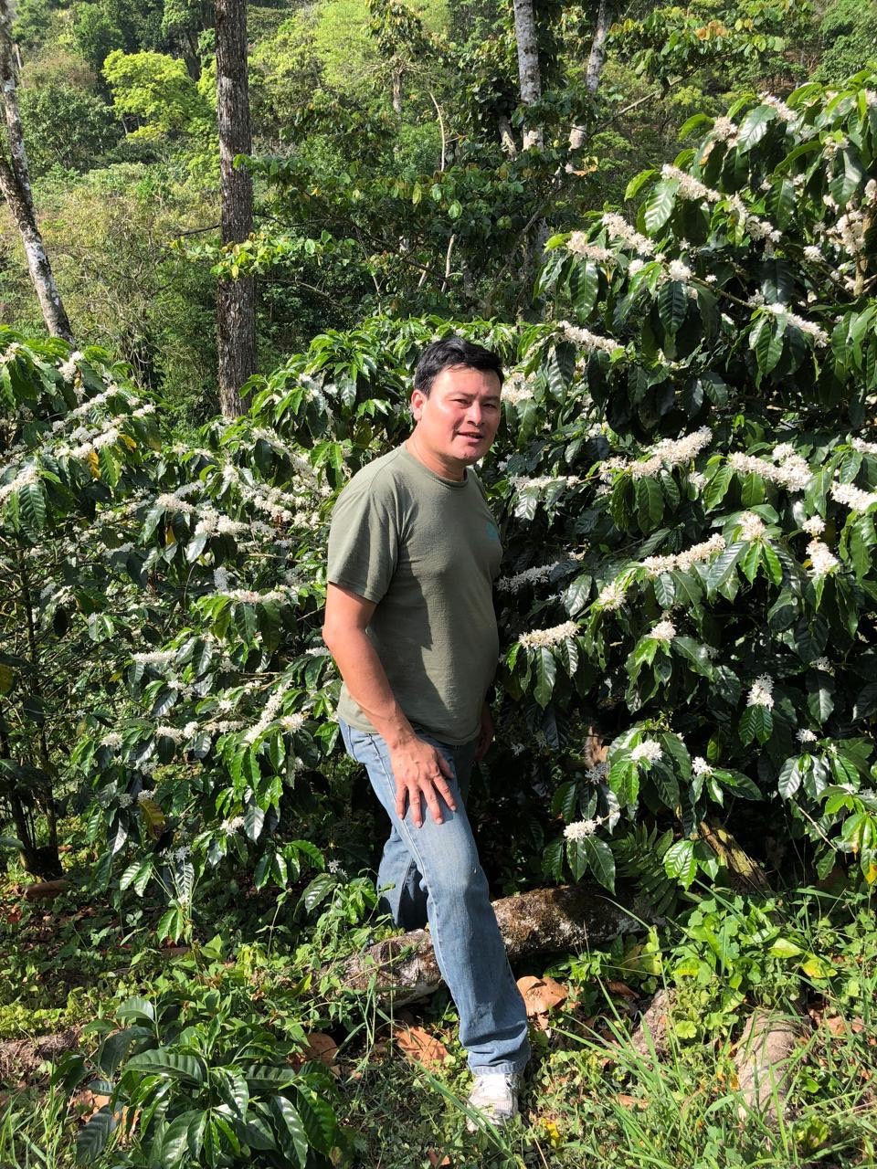 ニカラグア・ジャバニカ・ジャスミン  24/25