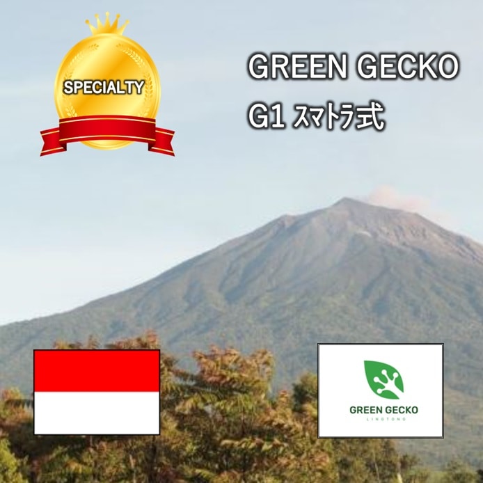 インドネシア  MANDHELING LINTONG GREEN GECKO(ｸﾞﾘｰﾝｹﾞｯｺｳ) ｽﾏﾄﾗ式(24/25)