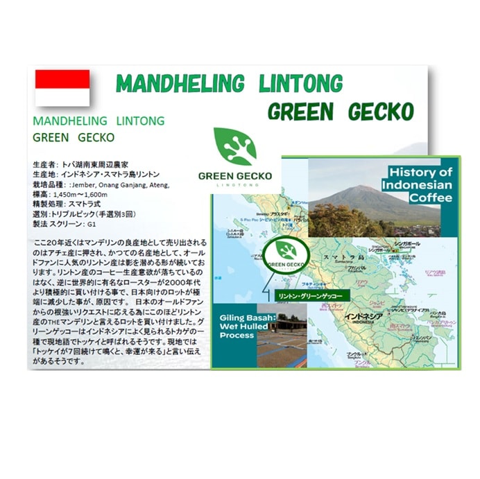 インドネシア  MANDHELING LINTONG GREEN GECKO(ｸﾞﾘｰﾝｹﾞｯｺｳ) ｽﾏﾄﾗ式(24/25)