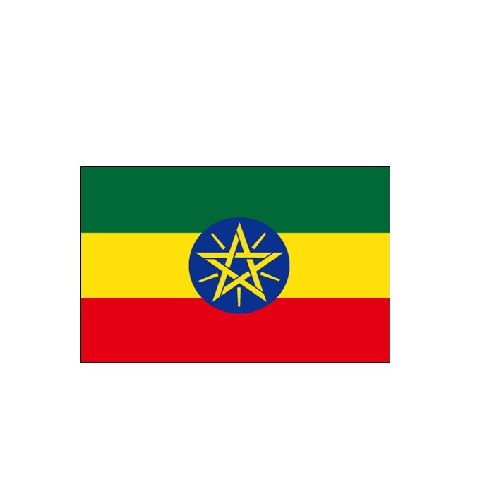 エチオピア  WOTE Yirgacheffe MicroLot.G1　　 Natural(24/25)