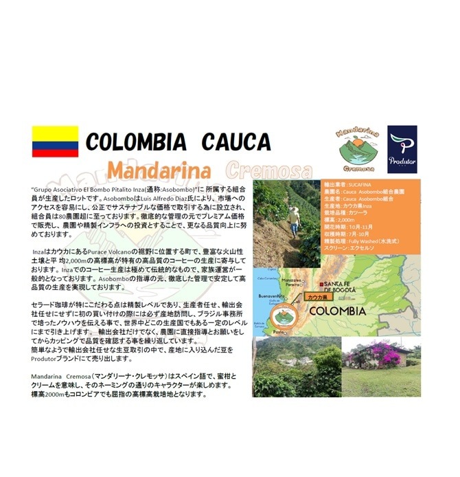 コロンビアMandarina Cremosa(ﾏﾝﾀﾞﾘｰﾅ･ｸﾚﾓｯｻ) Fully-Washed(24/25)