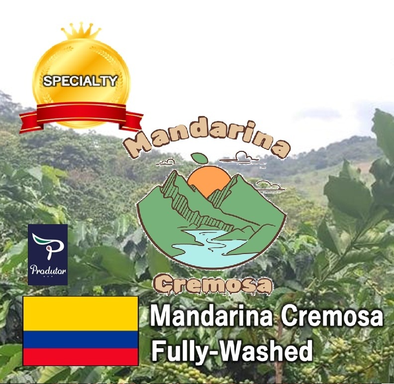コロンビアMandarina Cremosa(ﾏﾝﾀﾞﾘｰﾅ･ｸﾚﾓｯｻ) Fully-Washed(24/25)