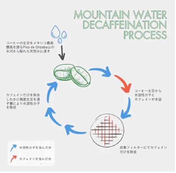 デカフェ  MEXICO Chiapas(ﾁｱﾊﾟｽ)ﾏｳﾝﾃﾝｳｫｰﾀｰ(23/24)