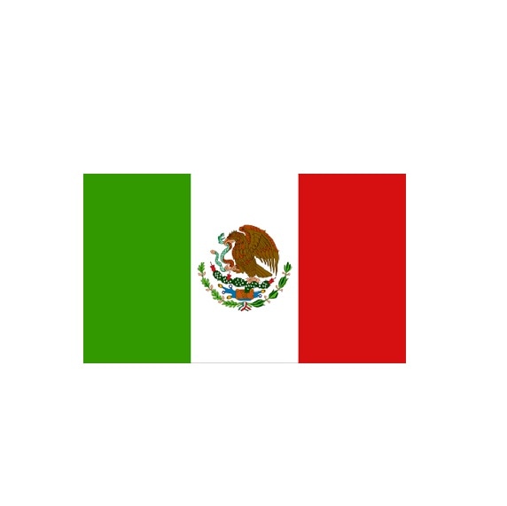 デカフェ  MEXICO Chiapas(ﾁｱﾊﾟｽ)ﾏｳﾝﾃﾝｳｫｰﾀｰ(23/24)