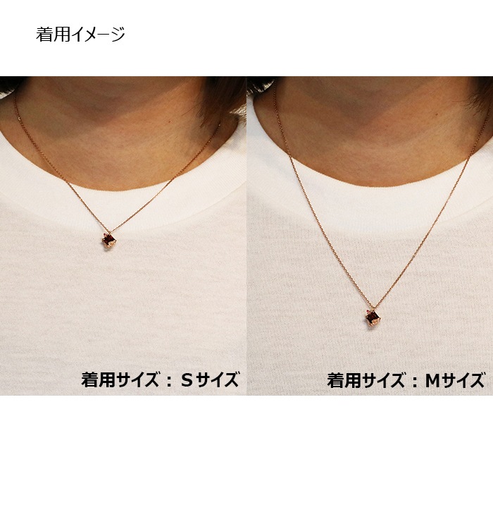 ��ARIA�ץ��᡼���ͥå��쥹����3��ˡ�