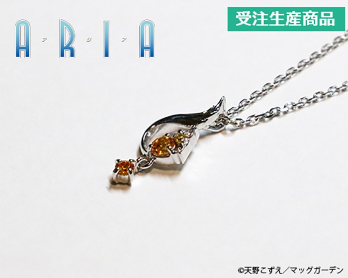 ��ARIA�ץ��᡼���ͥå��쥹����3��ˡ�