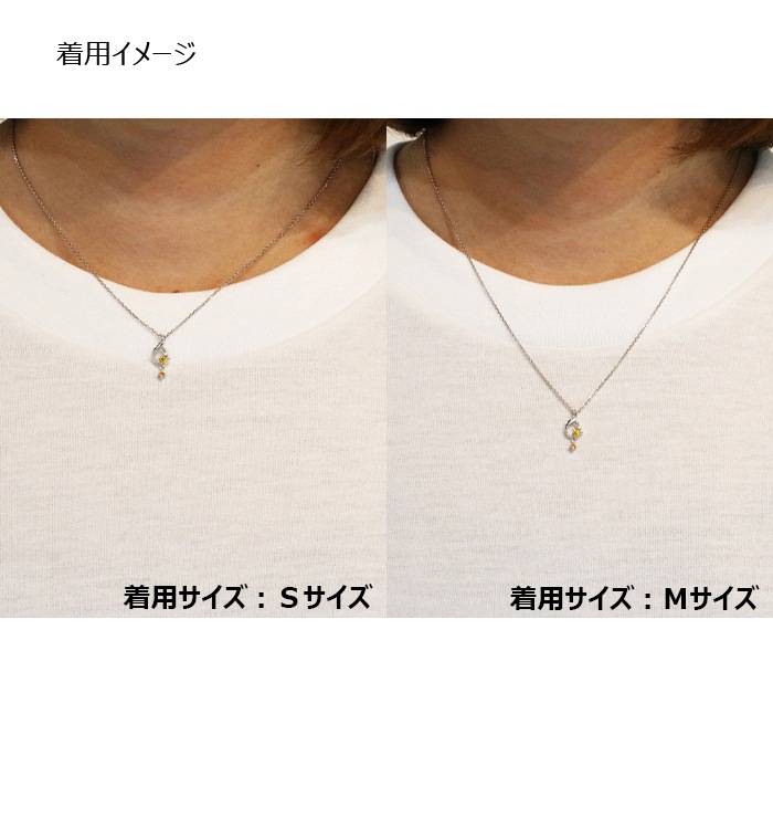 ��ARIA�ץ��᡼���ͥå��쥹����3��ˡ�