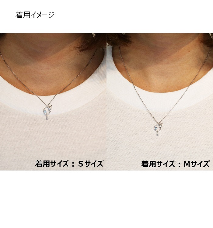 ��ARIA�ץ��᡼���ͥå��쥹����3��ˡ�