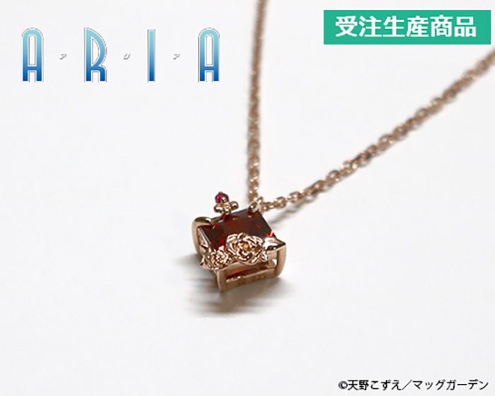 ��ARIA�ץ��᡼���ͥå��쥹����3��ˡ�