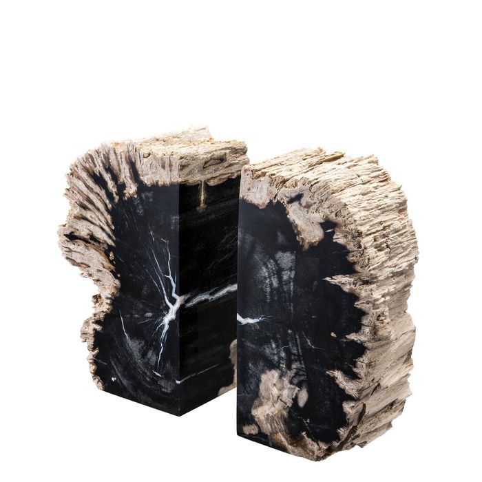 Bookend Opia petrified wood set of 2