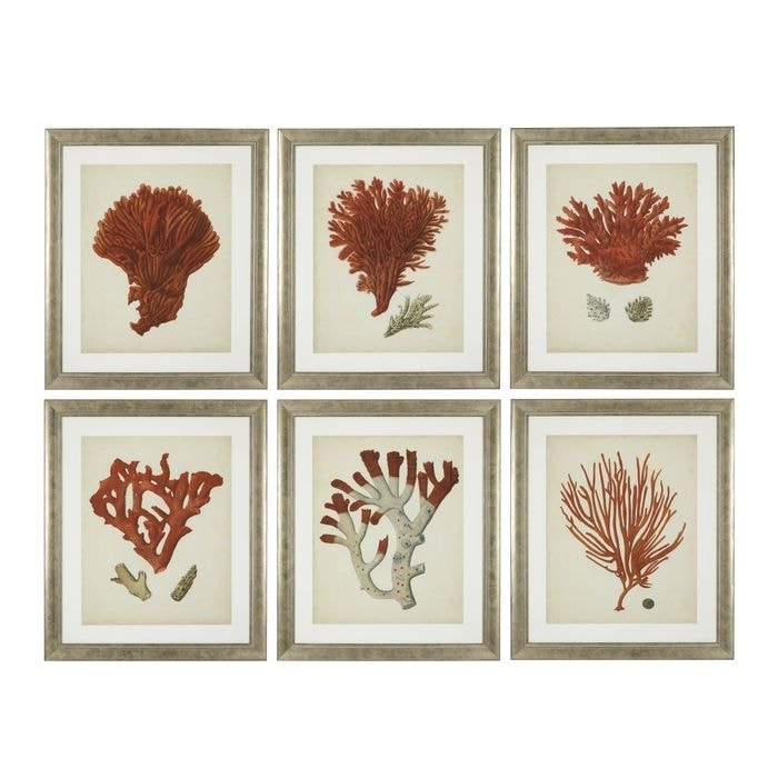 Prints EC258 Antique Red Corals set of 6