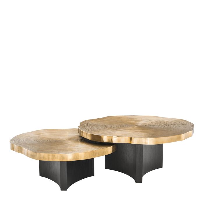 Coffee Table Thousand Oaks brass finish set of 2
