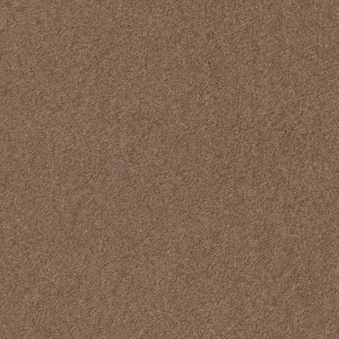 Dining Chair Costa with shelf