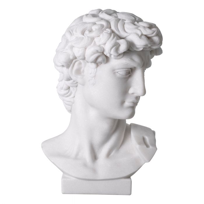 Head David