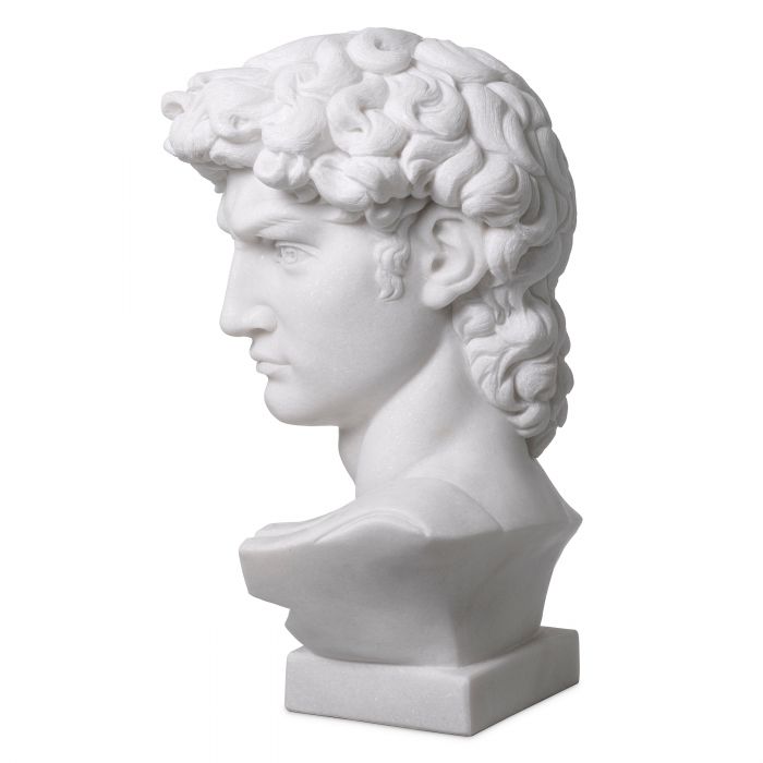Head David