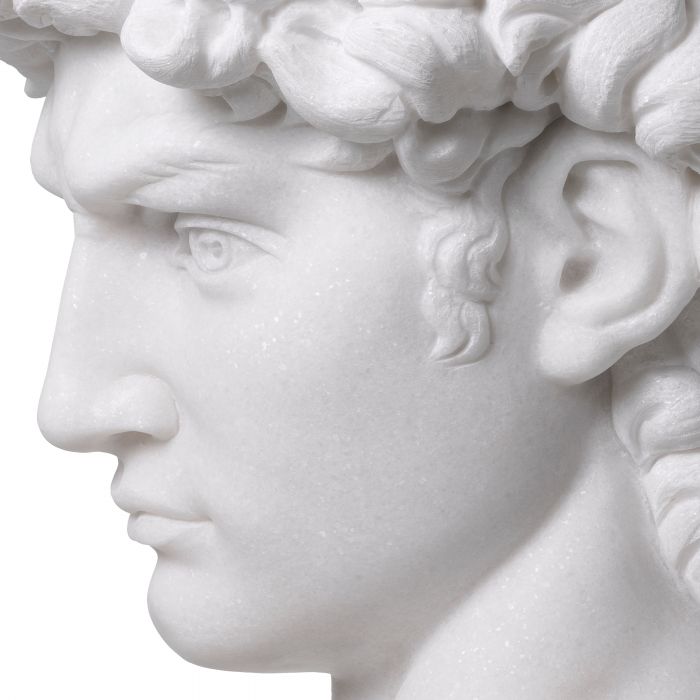 Head David