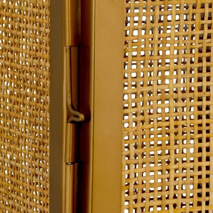 Hurricane Georgian XL