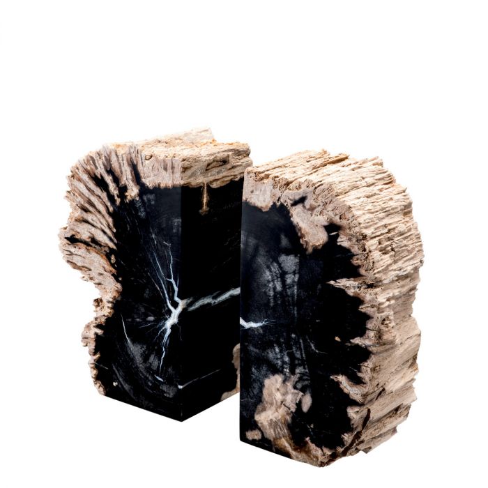 Bookend Opia petrified wood set of 2